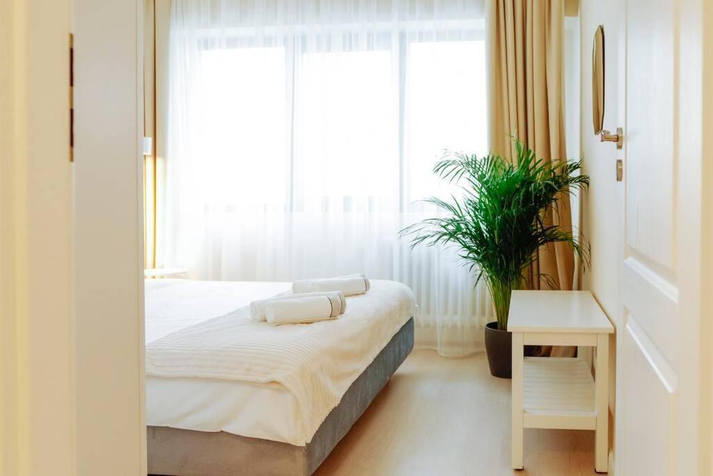 Elegant Vibes Apartment Next To Obor Market Bucharest Luaran gambar